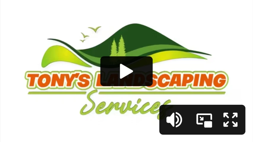 vimeo1